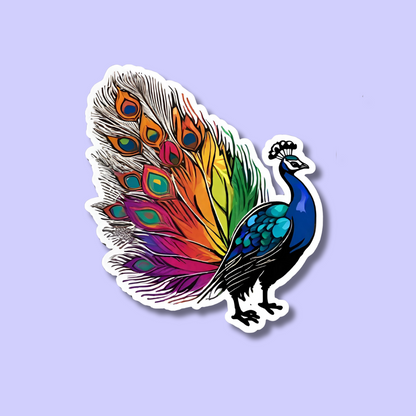 Pride Peacock